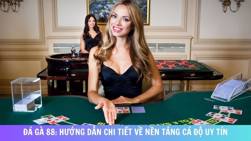 Da Ga 88 Huong Dan Chi Tiet Ve Nen Tang Ca Do Uy Tin